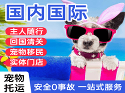 双流机场快递国际宠物托运 【国
